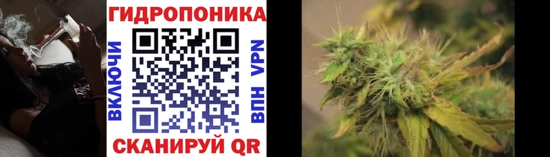 Бошки Шишки ГИДРОПОН  Купить закладки  Кубинка 